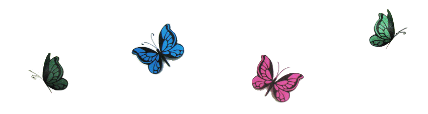 banderole papillons