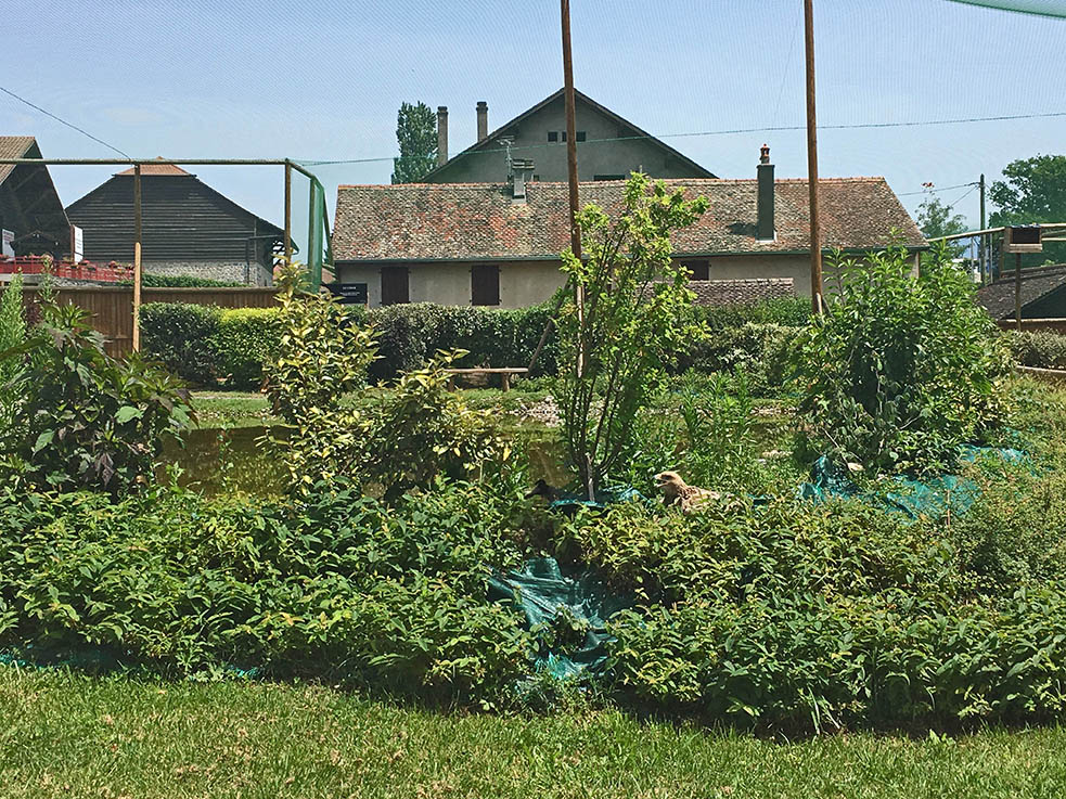 gros plan